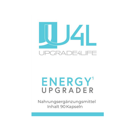 Energy Upgrader